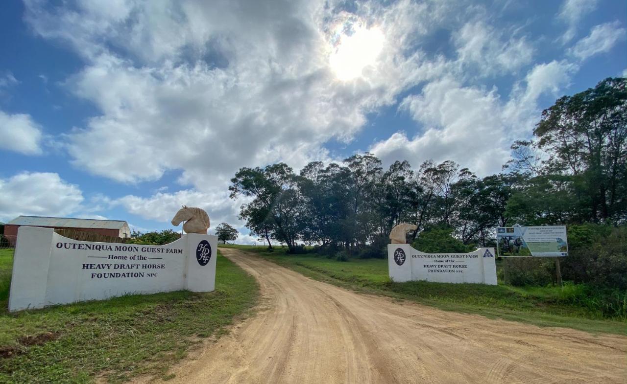 Outeniqua Moon Percheron Stud Farm Ruiterbos Exterior foto